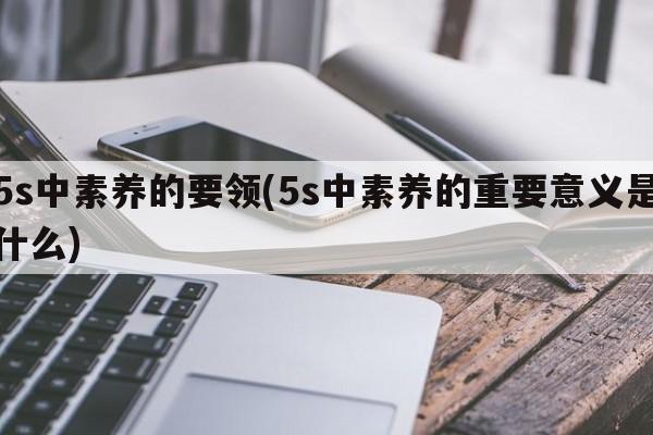 5s中素养的要领(5s中素养的重要意义是什么)